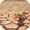Terrario Leopard Desert 1kg - base di terra desertica Anteprima dell’immagine prodotto 2