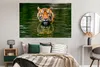 MuchoWow® Poster Tiger im Wasser 180x120 cm - Fotoplakat Produktbild-Vorschau 4