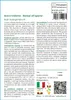 SAFLAX  - Acero tridente - 30 semi - Con substrato - Acer Anteprima dell’immagine prodotto 3