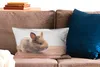 MuchoWow® Zierkissen Sofakissen Wohnzimmer Dekokissen 50x30 Produktbild-Vorschau 2