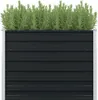 "Rabatt" Garten-Hochbeet/Pflanzgefäß/Pflanzkübel - Produktbild-Vorschau 1