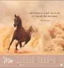 Never give up! Postkartenkalender 2027 - Durchhalten. Denn Produktbild-Vorschau 10