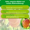 Purgrün -Aprikosenbaum-Dünger 1 kg, Produktbild-Vorschau 3