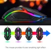 A gaming mouse with RGB lighting is shown from different angles, with a text description below. Produktbild-Vorschau