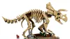 LEGO Jurassic World Dinosauří fosilie: Triceratops, Sada na Náhled obrázku produktu 17