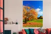 MuchoWow® Poster Baum - Blätter - Herbst - Jahreszeiten Produktbild-Vorschau 2