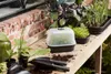 elho green basics grow tray M, Podložka pod květináč, Náhled obrázku produktu 8