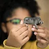 Schleich Wild Life - Warzenschwein, Figur für Kinder ab 3 Produktbild-Vorschau 2