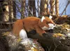 Folkmanis Handpuppe Fuchs 37 cm Produktbild-Vorschau 7