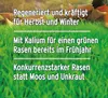 Substral Herbst Rasendünger - 12,5 kg Produktbild-Vorschau 9