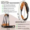 Esposita Einspännergeschirr "Professional" Produktbild-Vorschau 3
