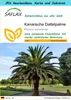 SAFLAX Geschenk Set - Kanarische Dattelpalme - Phoenix Produktbild-Vorschau 1