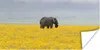 MuchoWow® Poster Elefant in einem gelben Blumenfeld 40x20 Produktbild-Vorschau 1