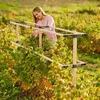 BERRY BUDDY Beerenrankhilfe Erweiterung | Rankhilfen von Produktbild-Vorschau 15