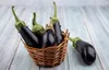 Aubergine Samen Schwarze Schönheit Lila Birne Der Liebe 1G Produktbild-Vorschau 6