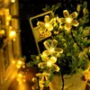 Close-up of a string of flower-shaped LED lights illuminating a small potted plant, with water droplets on a surface in the foreground. Produktbild-Vorschau