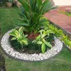 A garden bed with decorative stones and plants, next to a tiled pathway. Produktbild-Vorschau