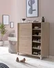 A shoe cabinet with shoes inside, placed in a room with artwork on the wall and a plant. Produktbild-Vorschau