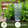 Scheurich Wasserspender Copa M | 4x Transparent | 150 ml Produktbild-Vorschau 3