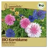 Samenliebe  Kornblume Samen | Bunte Blüten - zweijährig - Produktbild-Vorschau 1
