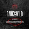 BTS (Bangtan Boys/Beyond The Scene): Dark & Wild (Edición Vista previa de la imagen del producto 1