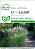 Artikelbild 1 von 'Chinaschilf' aus der Kategorie Gräsersamen Náhled obrázku produktu