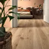 Fila Deterdek Pro Säurereiniger Produktbild-Vorschau 3