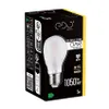 Bombilla decorativa LED DARI Filament, 5W, casquillo E27, Vista previa de la imagen del producto 4