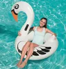 Bestway  Schwimmring "Flamingo & Schwan" ab 14 Jahren 165 x Produktbild-Vorschau 4