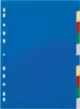 DURABLE Register A4 10-tlg., 674027 mehrfarbig Produktbild-Vorschau 1