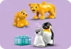 10442 - LEGO DUPLO - Familles d'animaux sauvages : Voir les images du produit 30