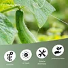 Ranknetz – Ideal für Gurken, Bohnen und Kletterpflanzen – Produktbild-Vorschau 2