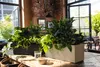 LECHUZA-Pflanzgefäß BALCONERA Stone 50 Sandbeige | Produktbild-Vorschau 6