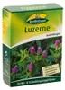 Luzerne 500 g | Gründünger von Quedlinburger Produktbild-Vorschau 1