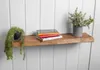 A wooden shelf mounted on a white paneled wall, decorated with two potted plants and a stack of books. Produktbild-Vorschau