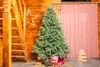 A Christmas tree with gifts at its base, next to a wooden staircase and pink curtains. Produktbild-Vorschau