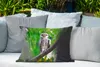 MuchoWow® Outdoor Kissen - Eule auf Ast sitzend - 60x40 cm Produktbild-Vorschau 4