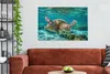 MuchoWow® - Leinwandbilder - Eine Schildkröte schwimmt Produktbild-Vorschau 3