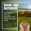Rasenkalk Herbst 20 Kg 400m² Moosvernichter Rasen Rasenkalk Produktbild-Vorschau 3