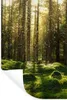 MuchoWow® Wandtattoo Wandsticker Wandaufkleber Bäume - Wald Produktbild-Vorschau 1