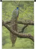 MuchoWow® Wandteppich Wandbehang Pfau - Federn - Baum Produktbild-Vorschau 1