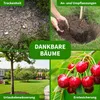 TTL GARDEN Baum Bewässerungssack 10x75L Produktbild-Vorschau 5