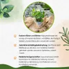 Enseleits Kapuzinerkresse,Tropaeolum majus,frische Kresse Produktbild-Vorschau 4