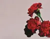 John Legend: Láska v budúcnosti Náhľad obrázku produktu 1