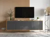 TV-Wandschrank TV-Schrank Loft Style Apollo 2 Viertürig Produktbild-Vorschau 8