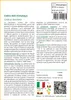 SAFLAX  - Cedro dell Himalaya - 35 semi - Cedrus Anteprima dell’immagine prodotto 3