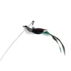 A toy bird with feathers attached to a string and a suction cup. Voir les images du produit