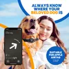 Vulpes Goods Obroża dla psa, obroża Apple Airtag dla psów, Podgląd zdjęcia produktu 15