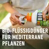 Nawóz do roślin śródziemnomorskich COMPOdo Podgląd zdjęcia produktu 5