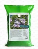 Phacelia Gründünger 2 kg Produktbild-Vorschau 1